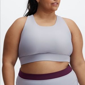Fabletics No-Bounce High-Impact Sports Bra size 2x grey/violet